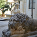 Malta, Valetta, Lion in Prince Alfred's Courtyard of Grandmaster's Palace