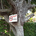 Arbre non fumeur / Non smoking tree