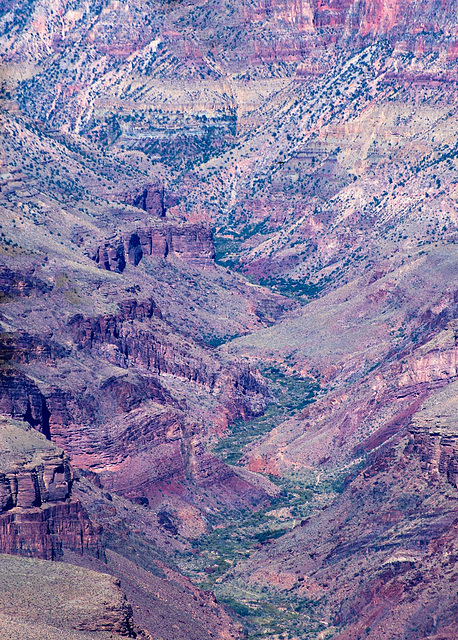 Grand Canyon set 314