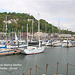 Wellington Marina Western Docks 7 5 2022