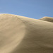 Oregon Dunes National Recreation Area (+10 insets and a sandy adventure!)