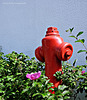 flowering hydrant