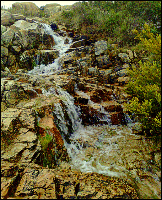 Mountain stream and cascade