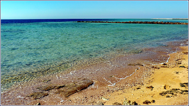 SHARM EL-SHEIK : Ras Mohammed - chilometri di barriera corallina