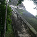 Temple 5 in Tikal, Guatemala.