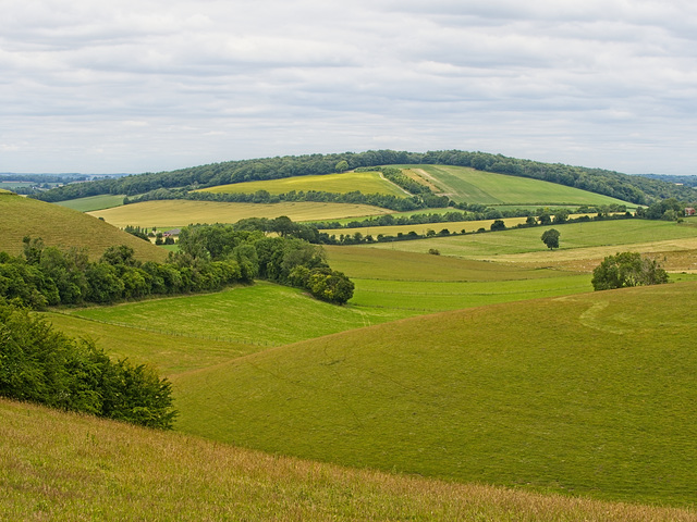 A View from Old Winchester Hill