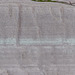 Gravel Bay - millipede-like burrows in Moor Cliffs Formation sandstone