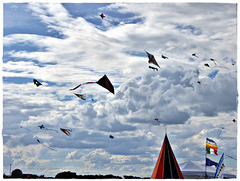 festival degli aquiloni 2016 ... cerf-volant ... kite