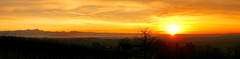 Sonnenuntergang am Bodensee (2Notes) Panorama