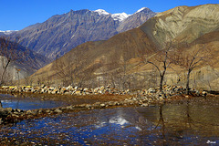 Vallée de la Kali Gandakhi-Mustang Népal