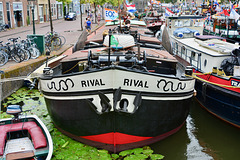 Sail Leiden 2018 – Rival