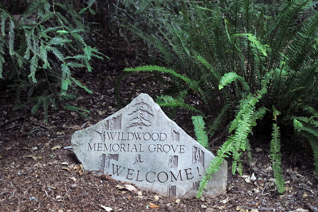 Wildwood Memorial Grove (1376)