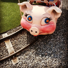 216 Pig train