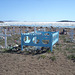 Cimetière Inuit / Inuit cemetery