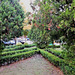 A small garden between Benfica's blocks - VII