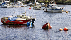 Another Sunken Boat on the River Leven