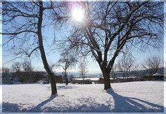 Wintersonne / Winter sun