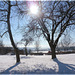 Wintersonne / Winter sun