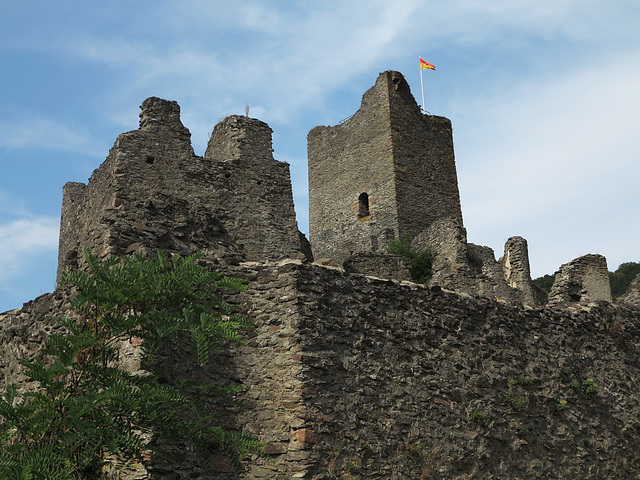 Burg Manderscheid (Niederburg)