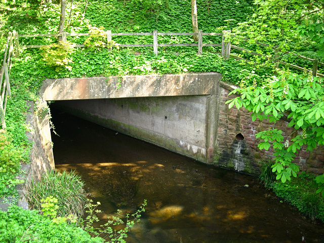 Wom Brook near Rushford Bridge, Wombourne