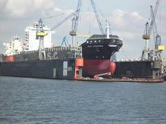 Containerschiff  MSC CORDOBA