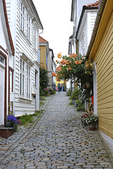Bergen Old Town 6