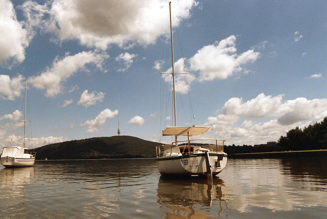 1991 "Elissa" Cole 19 in Canberra