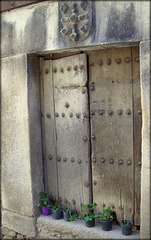 Venerable door, probably not much in use!