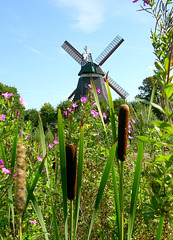 Windmühle Johanna in Wilhelmsburg