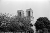 Notre Dame, Edited Version, Paris, France, 2014