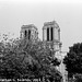 Notre Dame, Edited Version, Paris, France, 2014