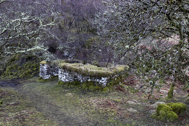 Ruined house by Mossy Hallaig path 2