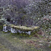 Ruined house by Mossy Hallaig path 2