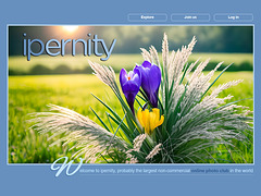 ipernity homepage with #1578