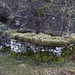 Ruined house by Mossy Hallaig path 3