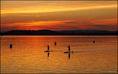 Stand-up Paddling in the sunset at the Lake Constance