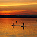 Stand-up Paddling in the sunset at the Lake Constance