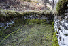Ruined house by Mossy Hallaig path interior 1