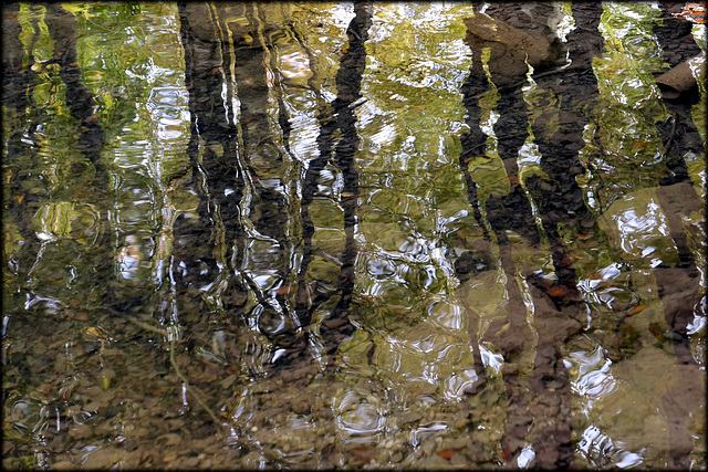 abstract reflections on the water (pip)