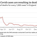 cvcd - cases : deaths ratio [Jan 2022]