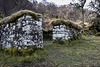 Ruined house by Mossy Hallaig path 4