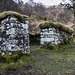 Ruined house by Mossy Hallaig path 4
