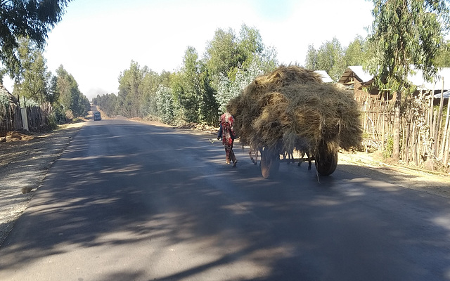 Transporting hay - the road to Lalibela