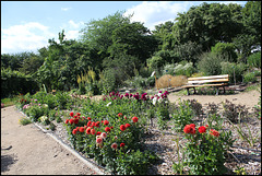 Jardin botanique de La Charme -63 (19)