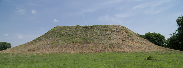 Winterville mound (2)