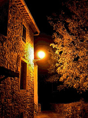 a light in the autumn night