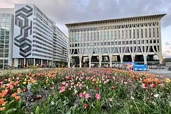 The Hague 2023 – City Hall and Amare