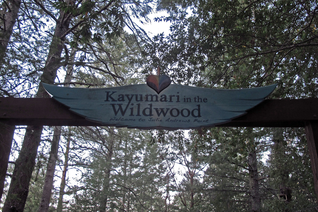 Wildwood Retreat (1341)