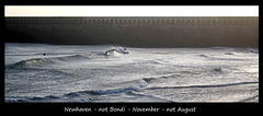 Newhaven not Bondi - November not August - 2 11 2020