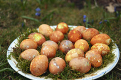 Lihavõttemunad / Easter eggs